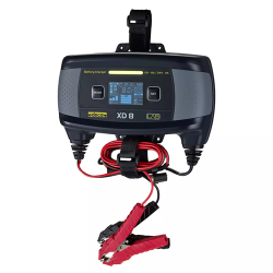 LiFePO4 12/24V 8A...